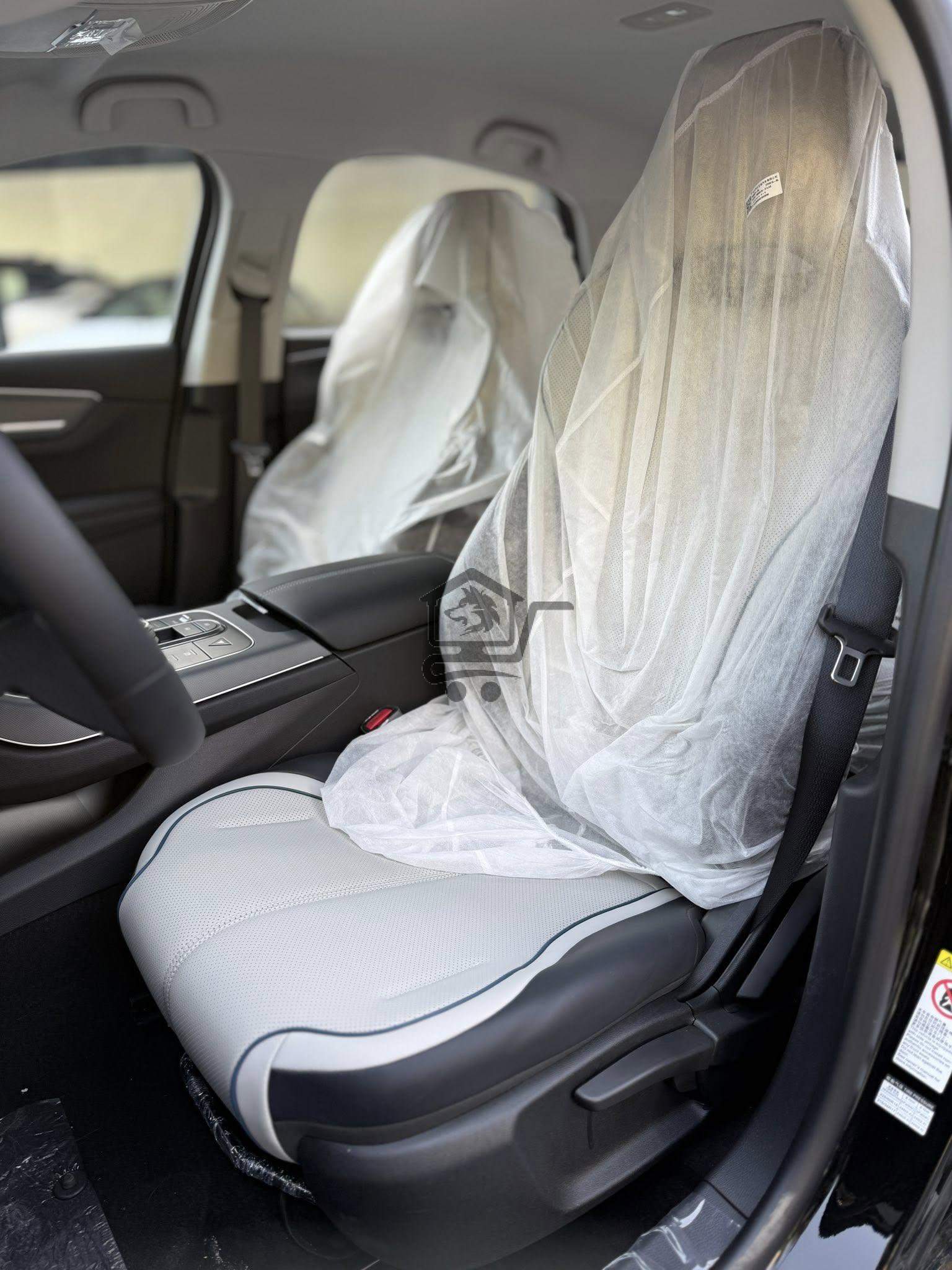 BYD Destroye 2025 - الصورة 8