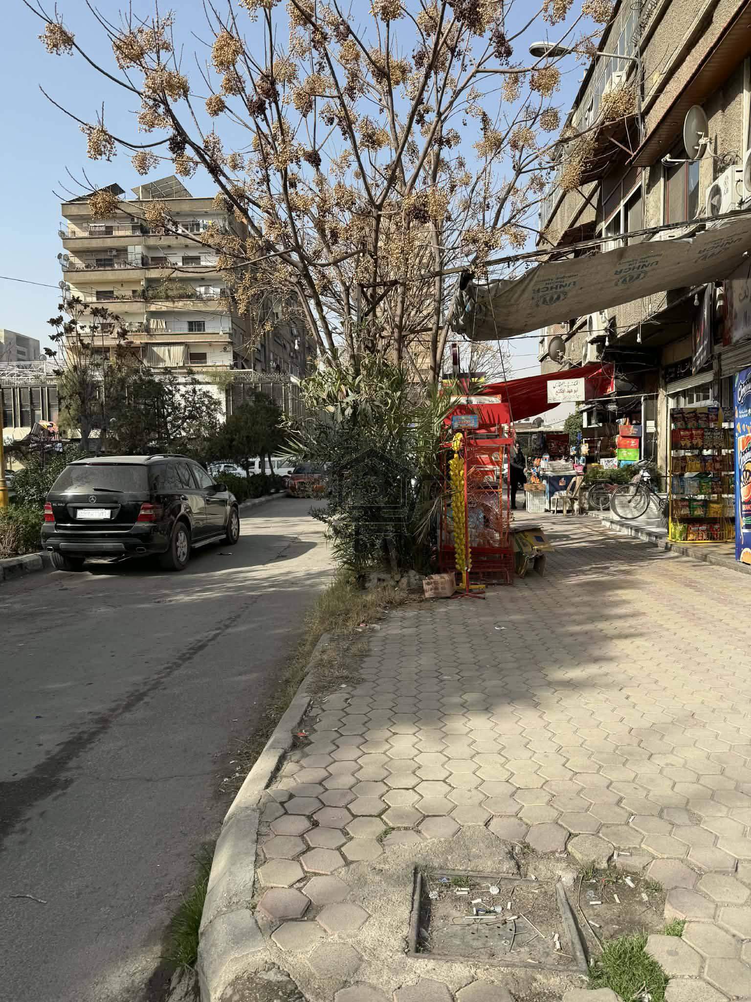 محل للبيع طابو اخضر فروغ🏠 - الصورة 3