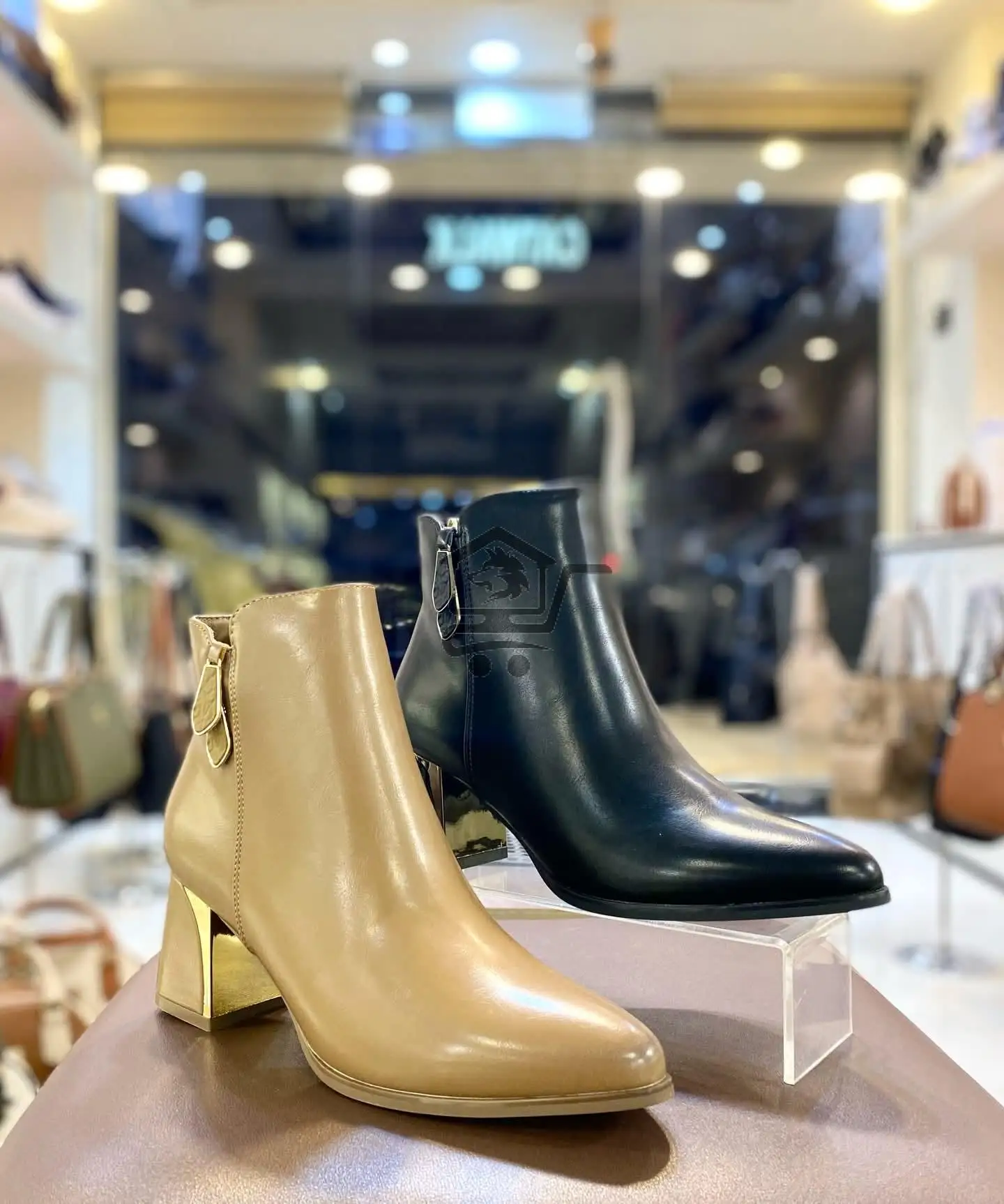 Catwalk - الصورة 4