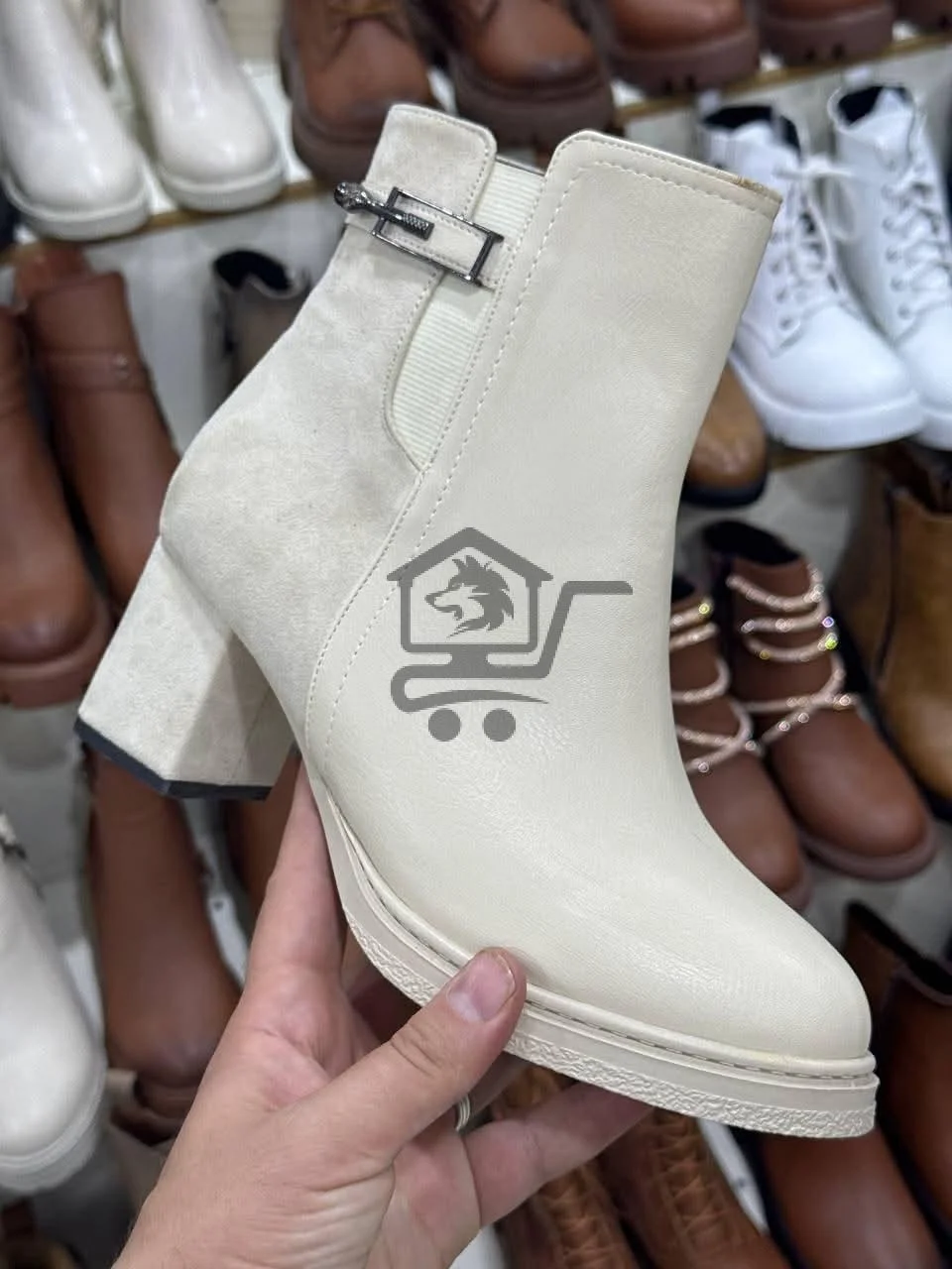 ساق قصير شاموا - الصورة 3