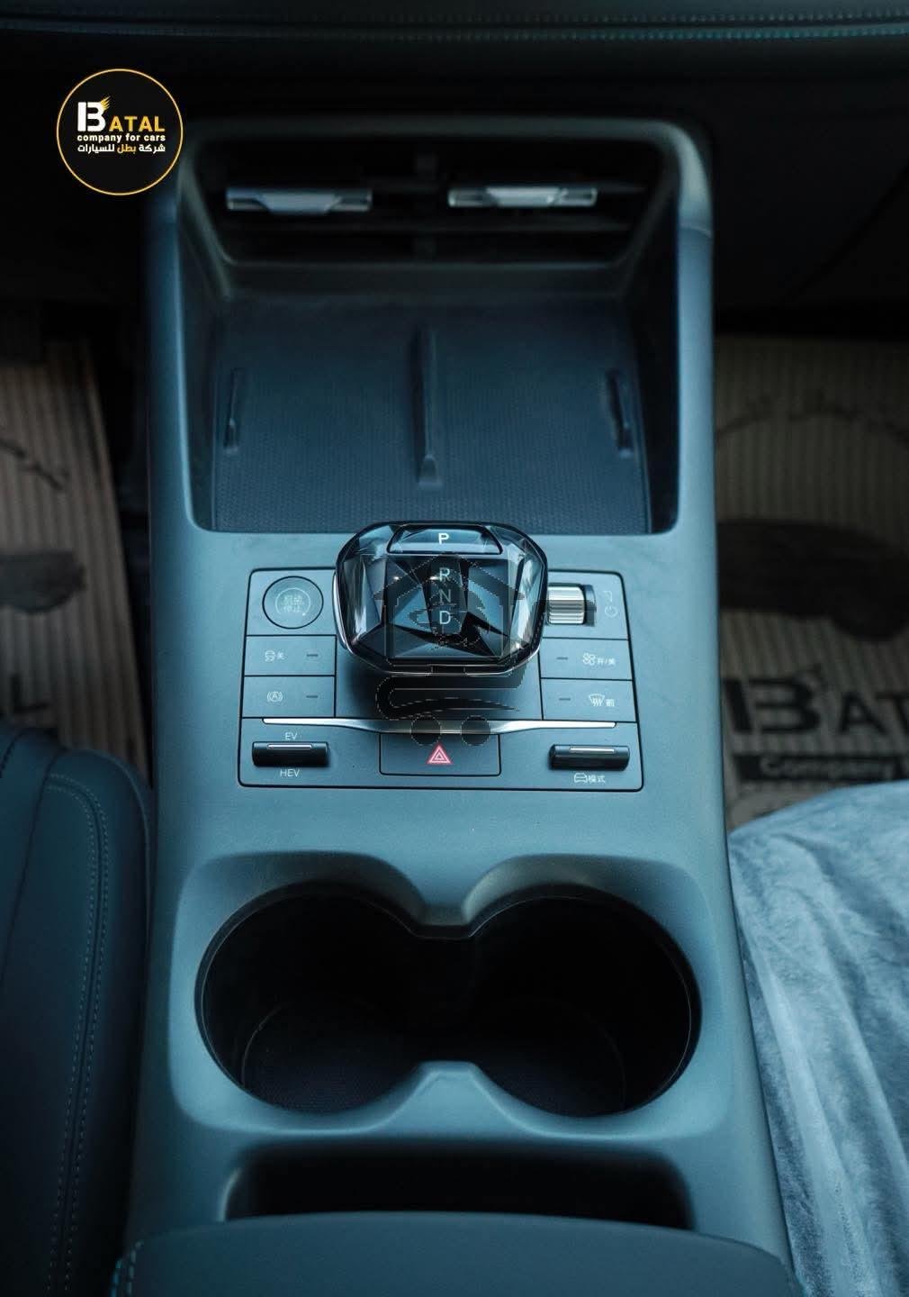 BYD QIN PLUS - الصورة 2