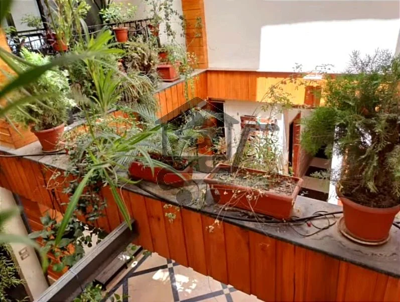 معهد الخطيب للغات والتعليم - الصورة 5