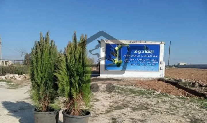 مشتل الشادوف - الصورة 2