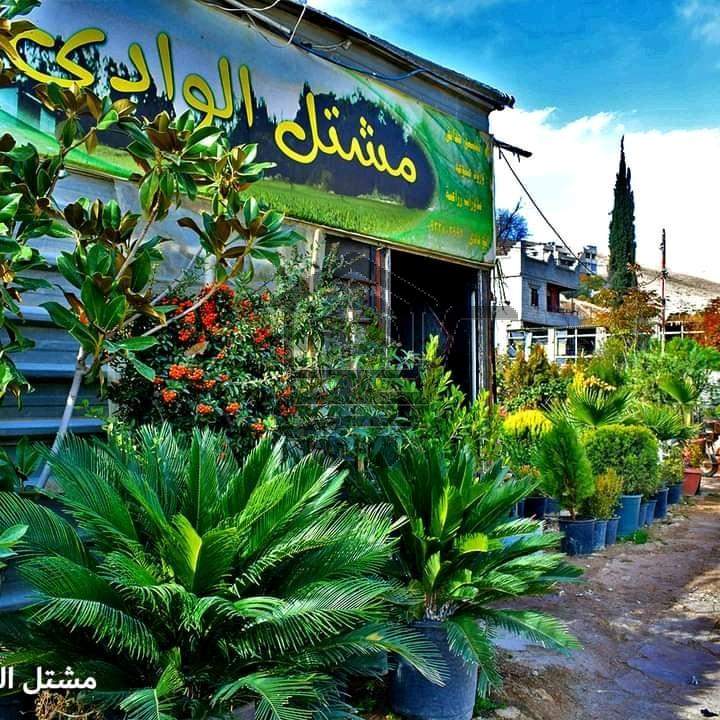 مشتل الوادي - الصورة 1