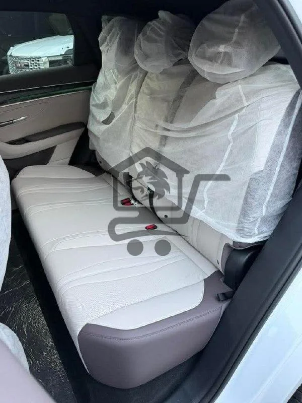 BYD Song L - الصورة 10