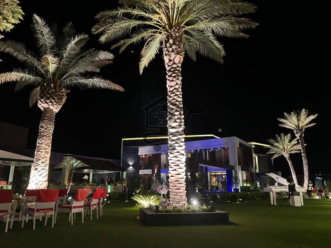 فيلا ملكية - الصورة 3