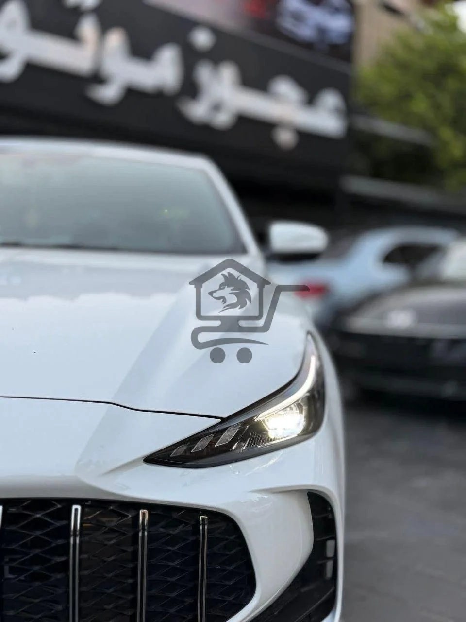 MG 5 - الصورة 5