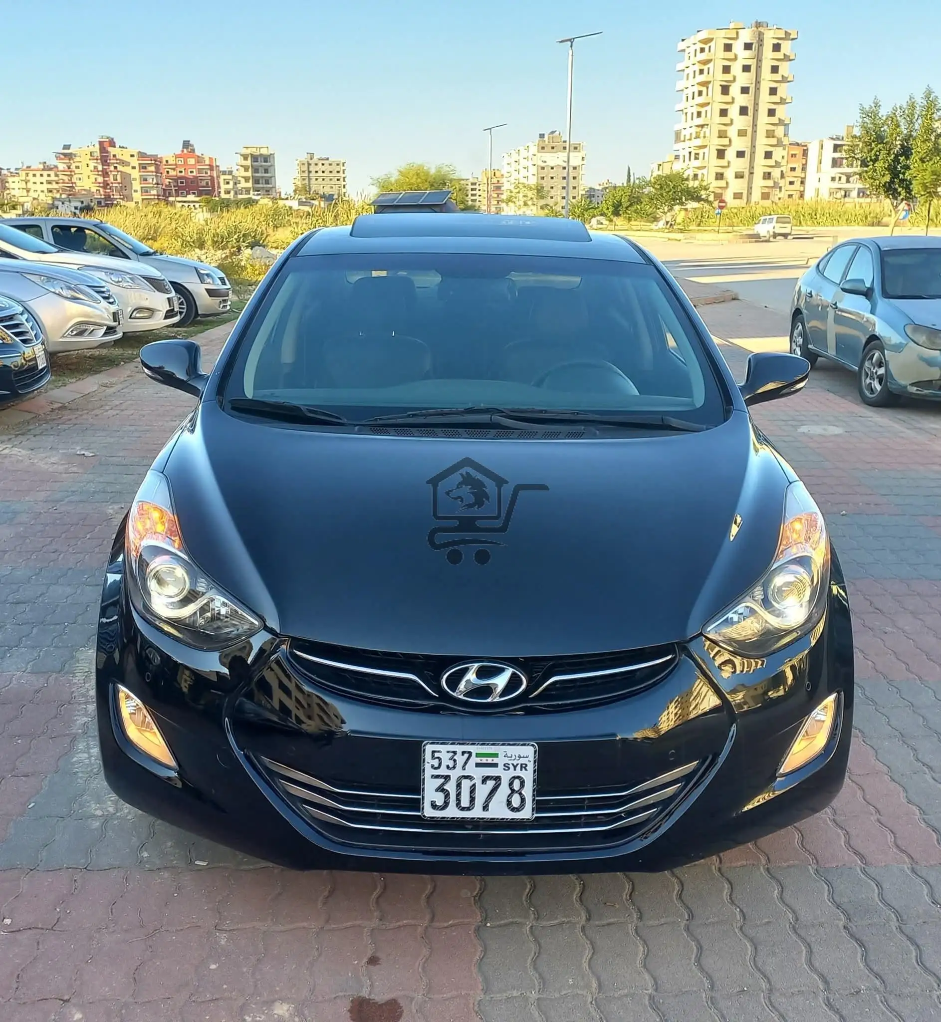 النترا وارد كوري - الصورة 1