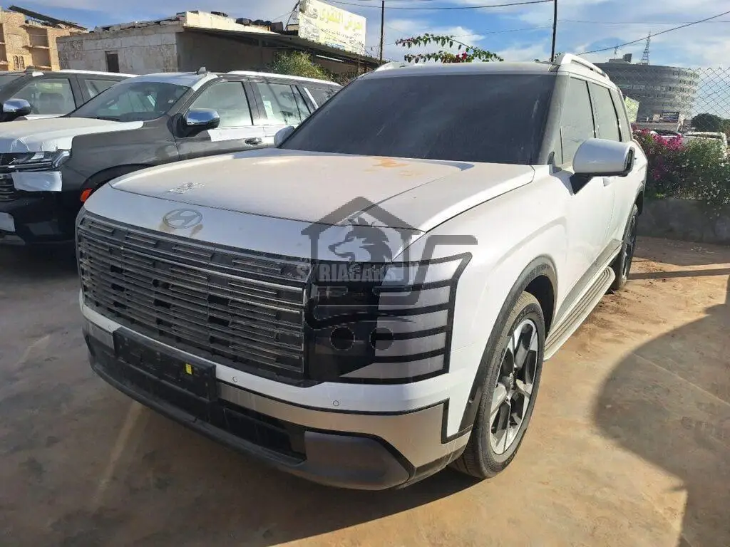 هيونداي - Hyundai باليساد - Palisade - الصورة 1