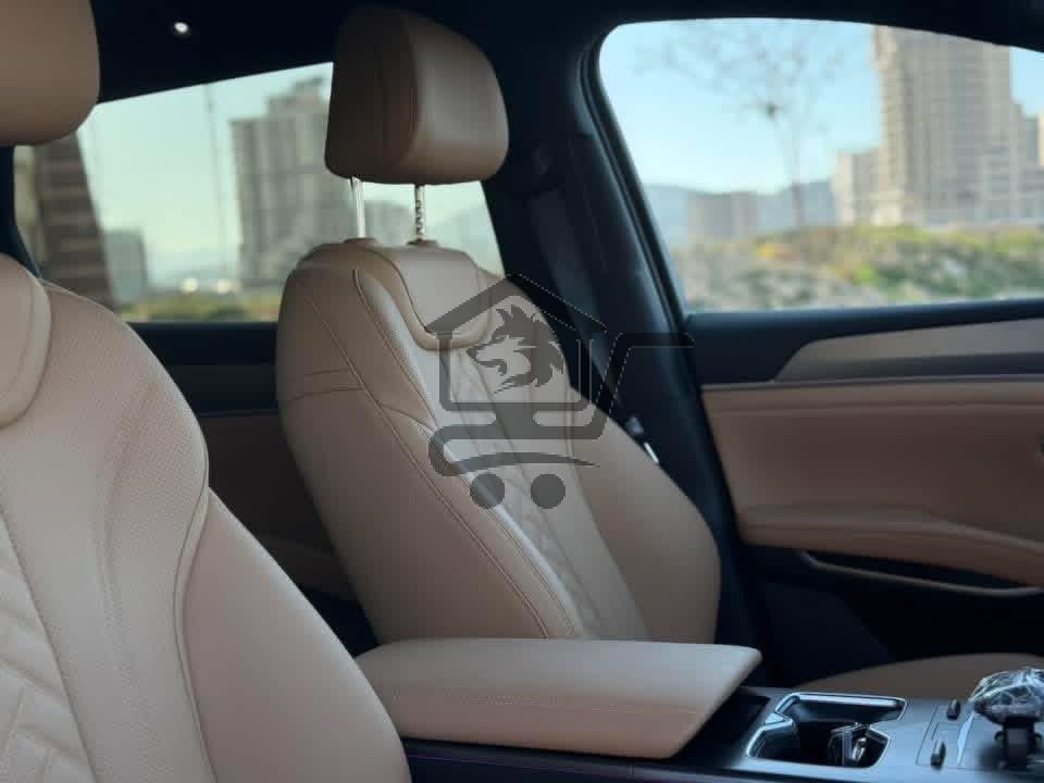 BYD - الصورة 7