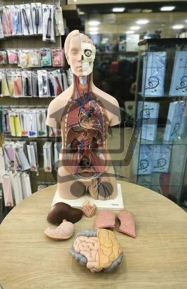 المركز الأكاديمي للكتاب - الصورة 2