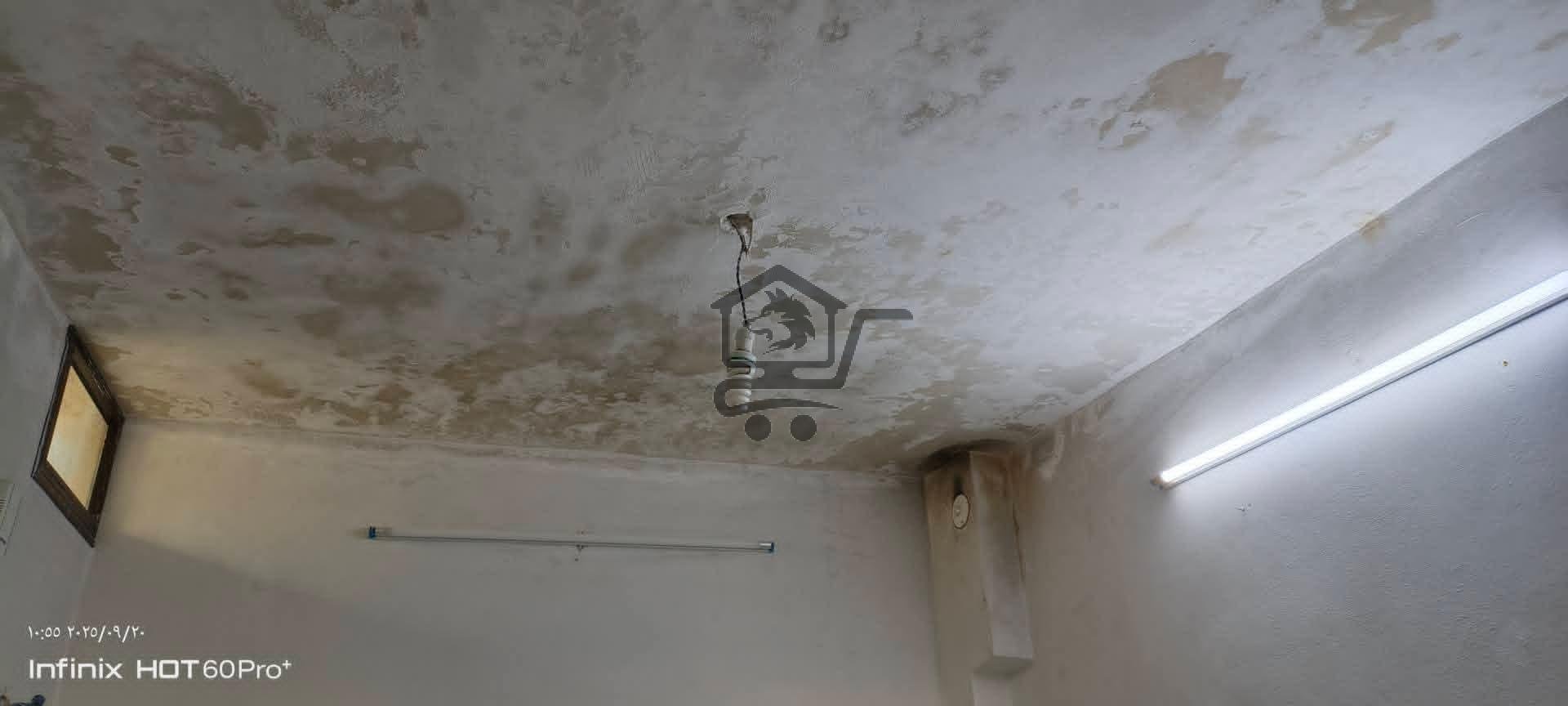 معلم دهان + بخ موبيليا - الصورة 4