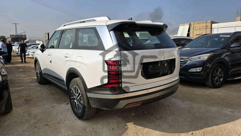 هيونداي - Hyundai باليساد - Palisade - الصورة 2