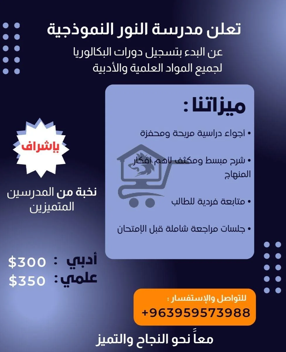 مدرسة النور النموذجية - الصورة 3