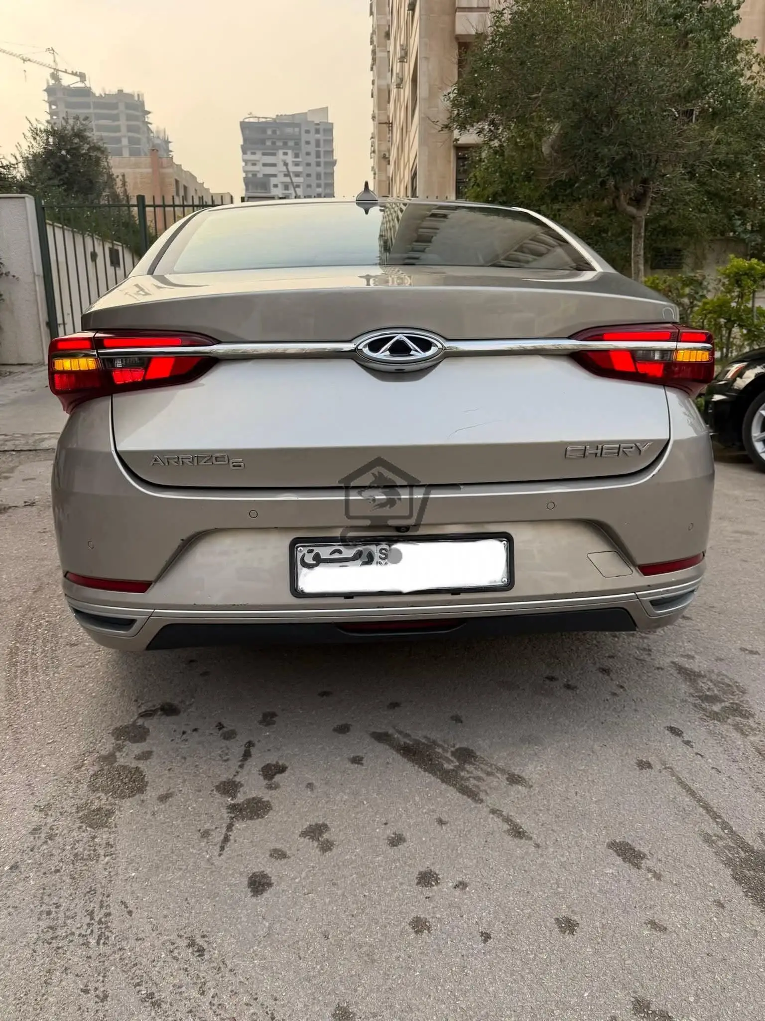 شيري اريزو 6 - الصورة 3