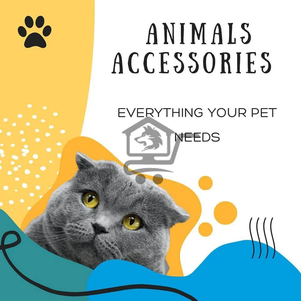 Animals Accessories - الصورة 1