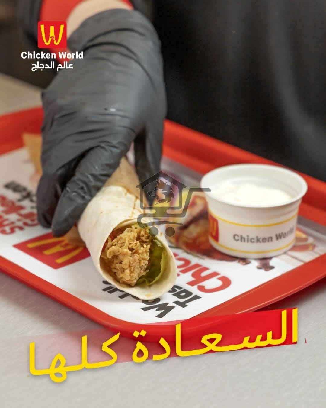 مطعم عالم الدجاج - الصورة 1