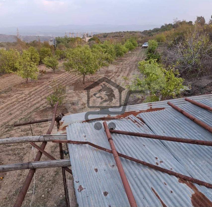 ارض زراعية في الريف - الصورة 1