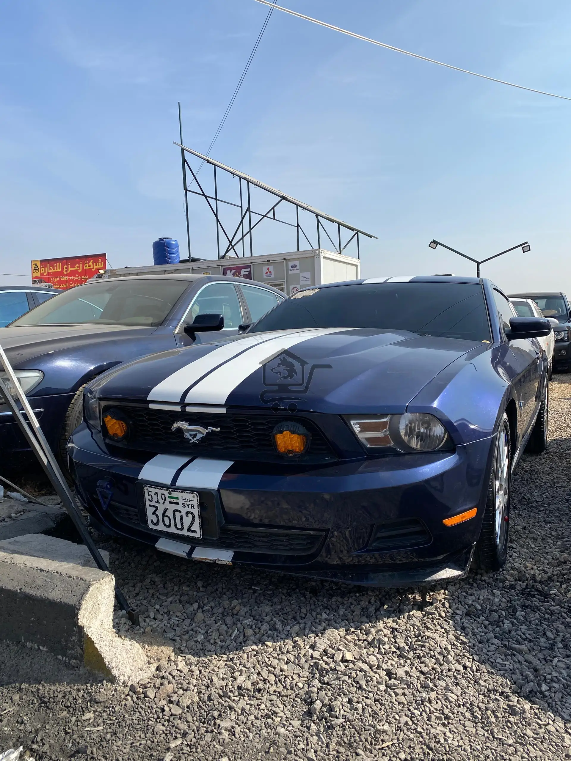 Ford mustang - الصورة 1