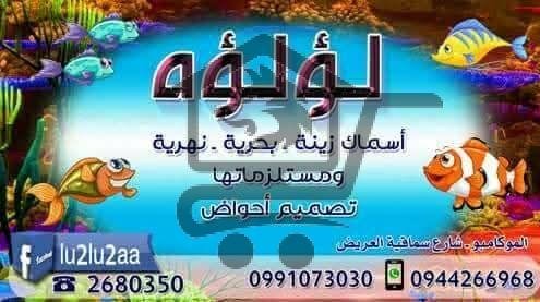 محل لؤلؤه مستلزمات حيوانات منزليه