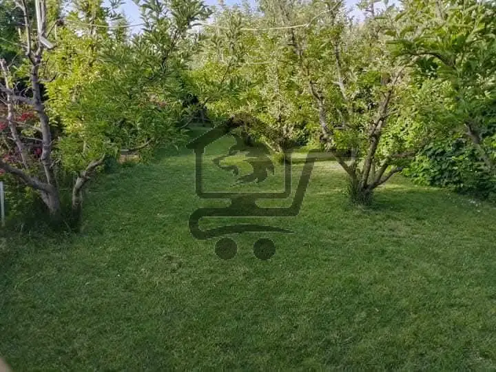 "أرض زراعية بمساحة كبيرة... فرصة لاتعوض - الصورة 1