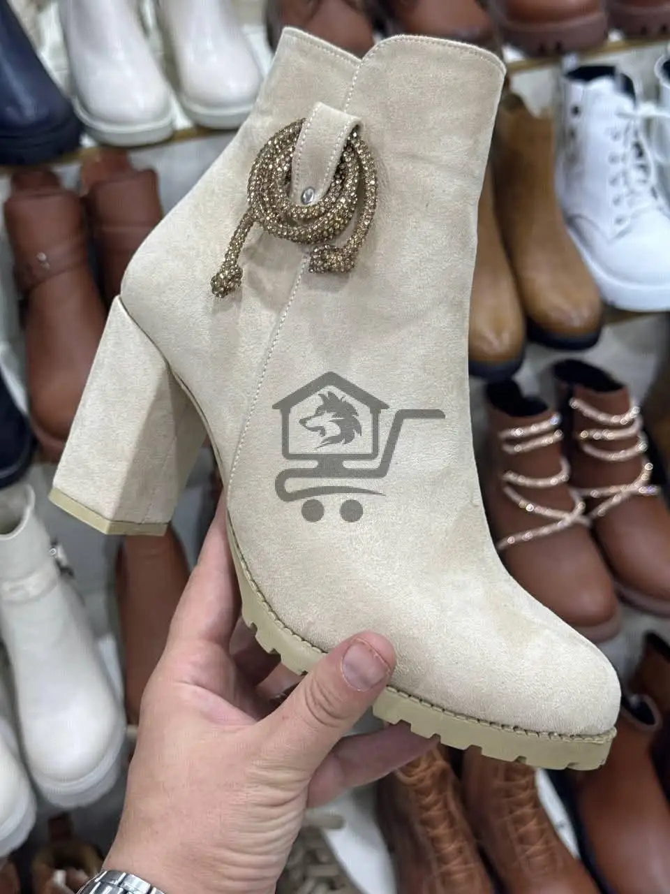 ساق قصير شاموا - الصورة 2