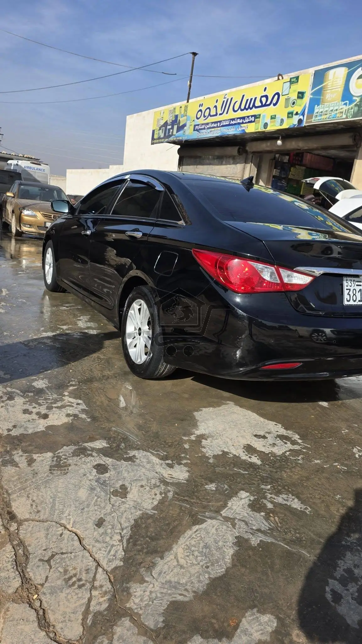 سوناتا اوربي  ٢٠١١ - الصورة 4