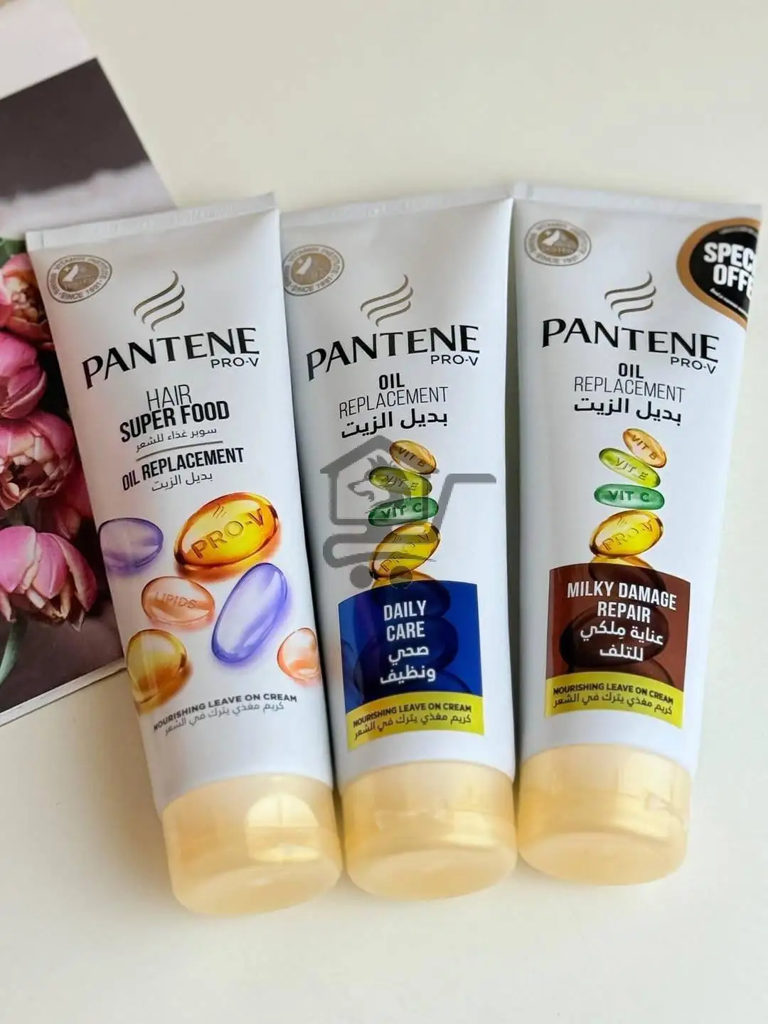 نوفوتيه كوين - الصورة 5