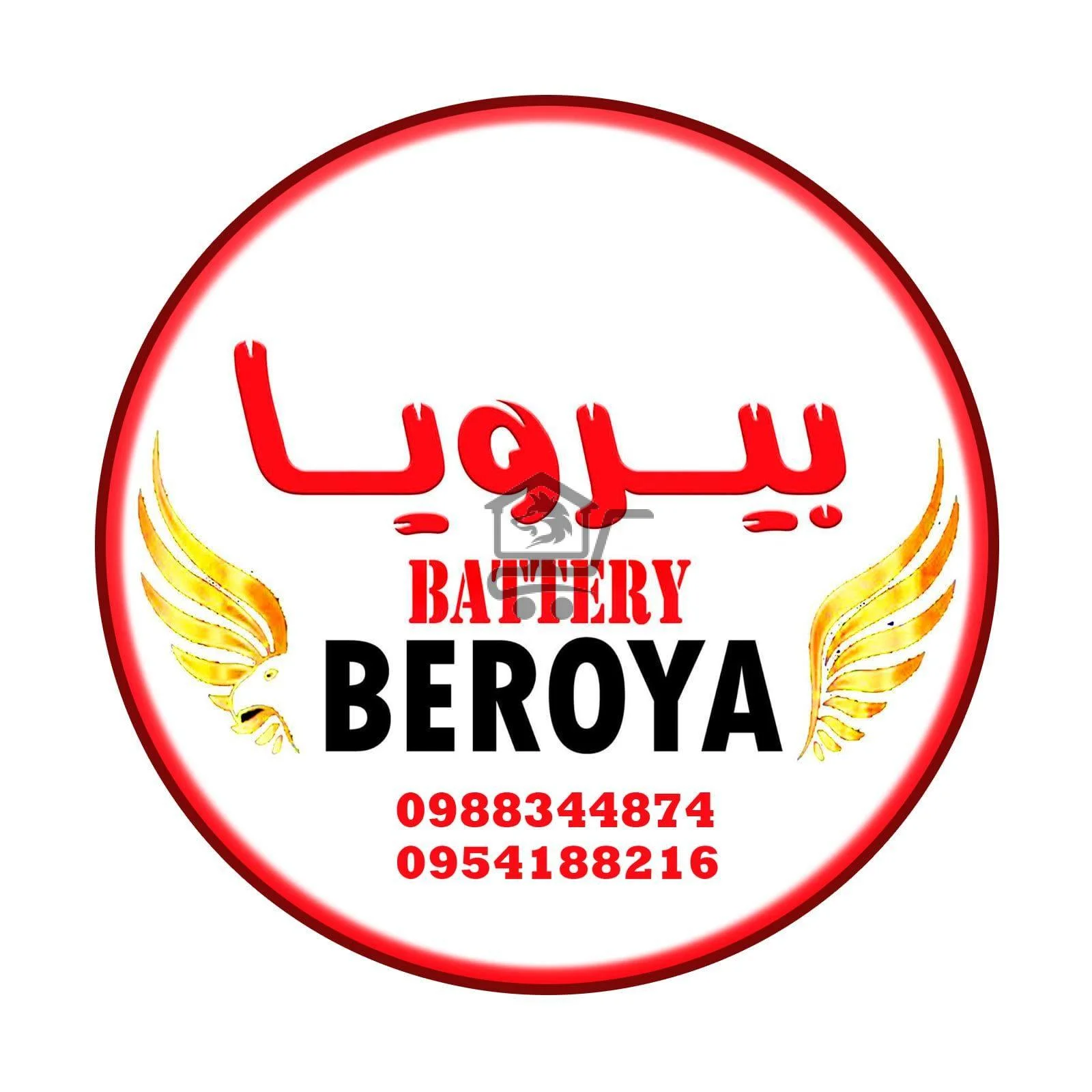 شركة بيرويا لصناعة البطاريات الوطنيه - الصورة 1