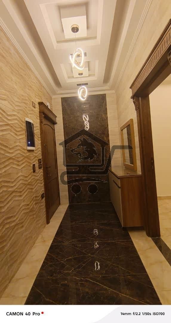 عرض الفخامة - الصورة 5