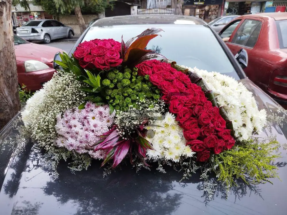 ازهار صلاح الدين - الصورة 1