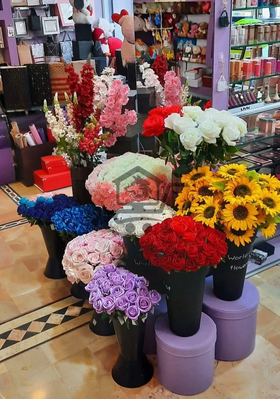 🎀 Celina Smile – عالم الهدايا  بانتظارك! - الصورة 3