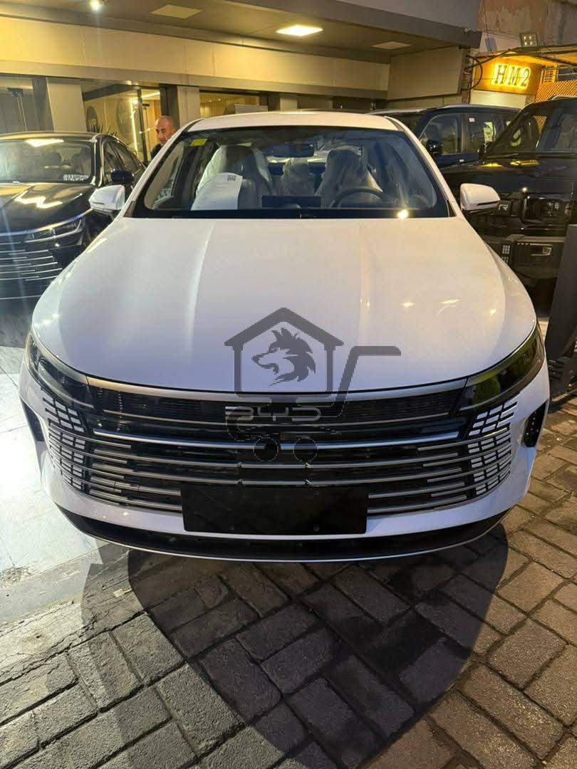BYD Destroyer - الصورة 1