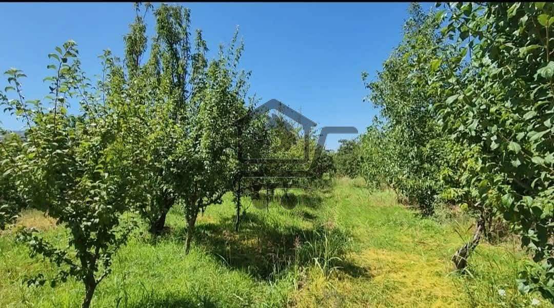 "أرض زراعية بمساحة كبيرة... فرصة لاتعوض - الصورة 4