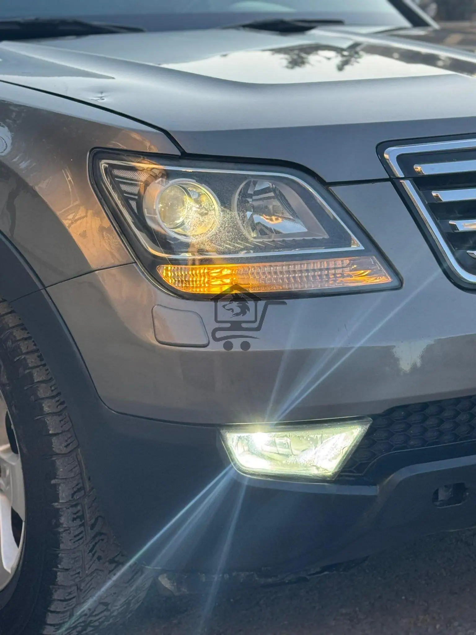 موهافي 2011 - الصورة 5