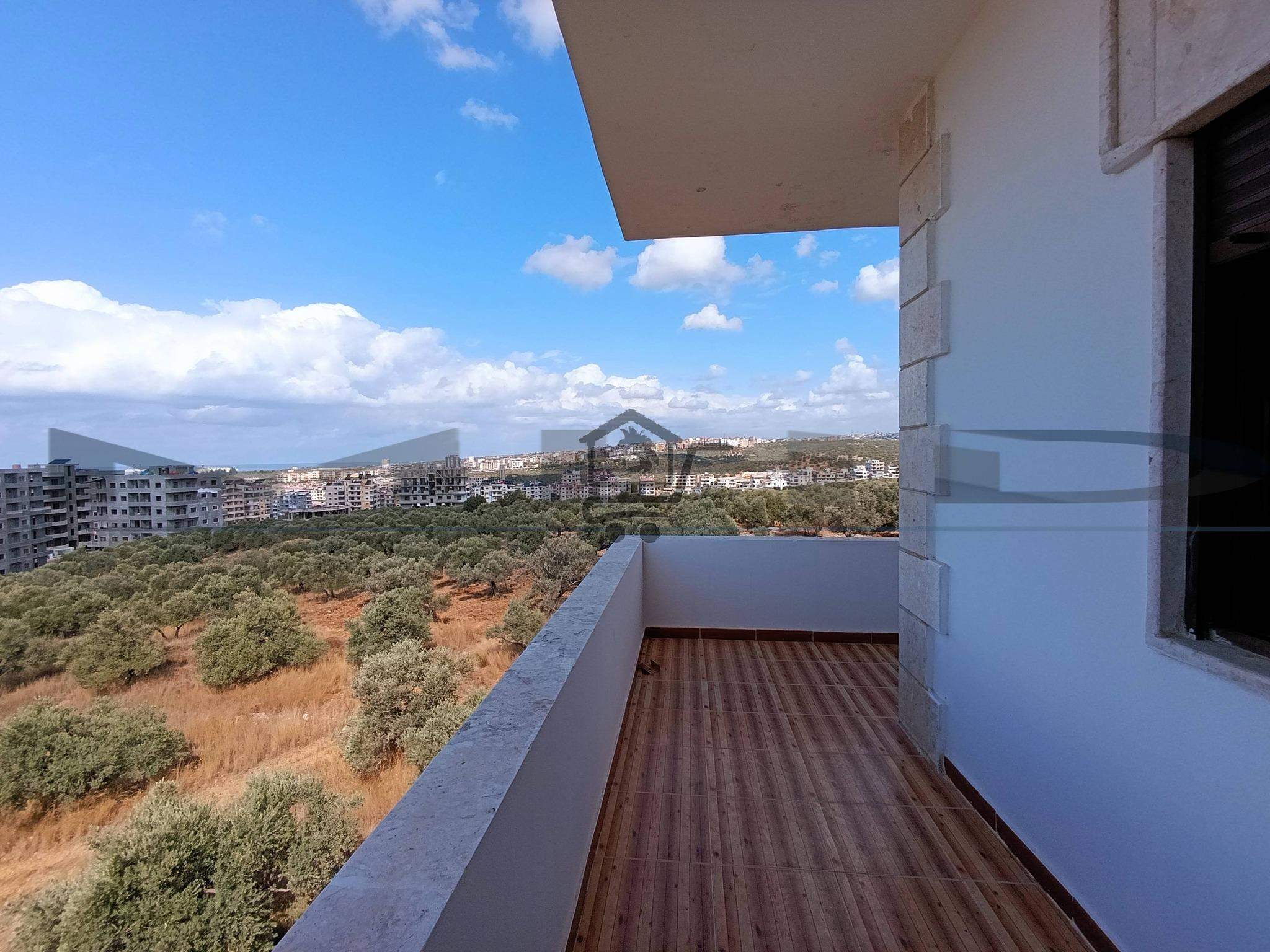 طـرطـوس الـجـديـدة - الصورة 3