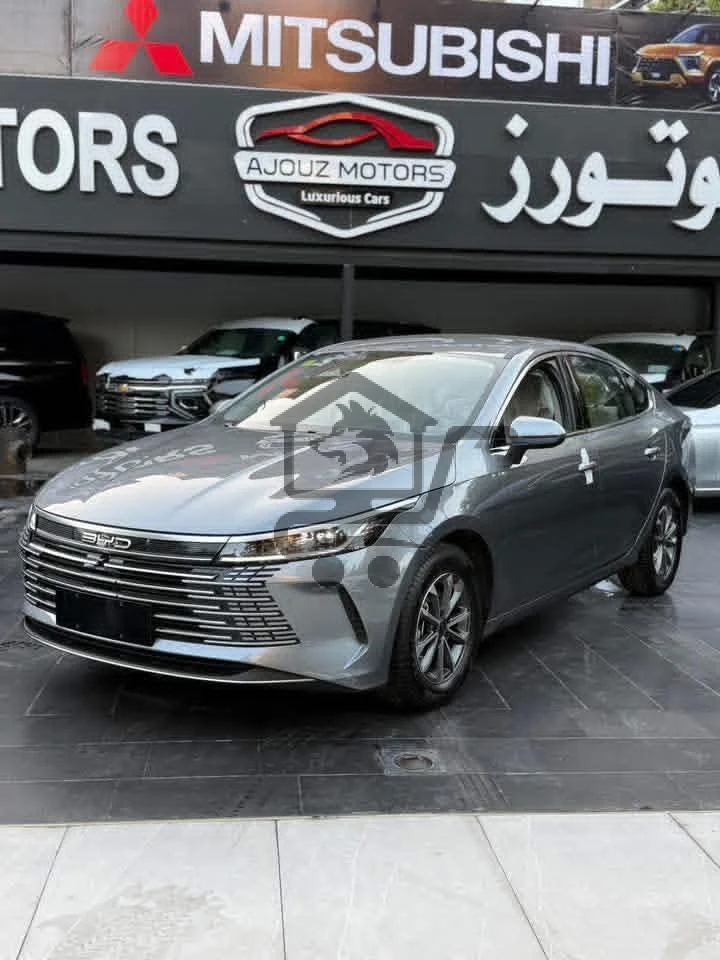 BYD Destroyer - الصورة 9