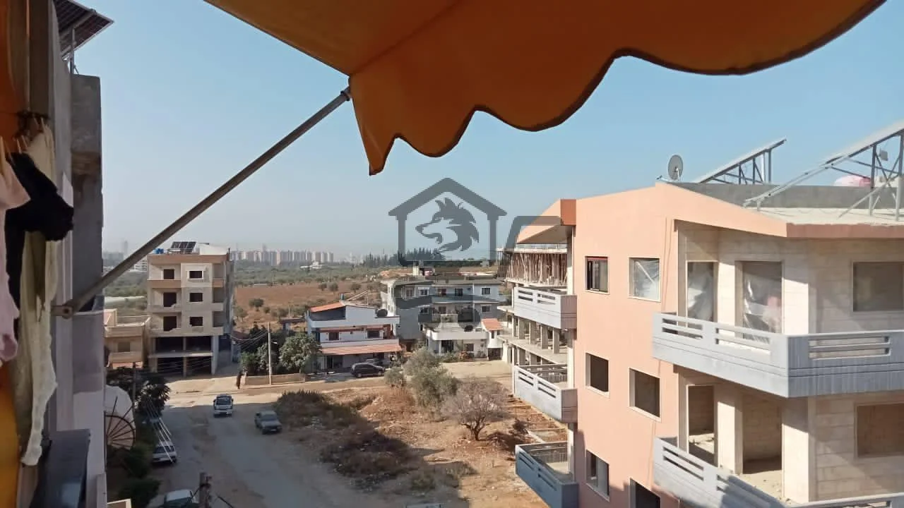 طرطوس الشيخ سعد - الصورة 4