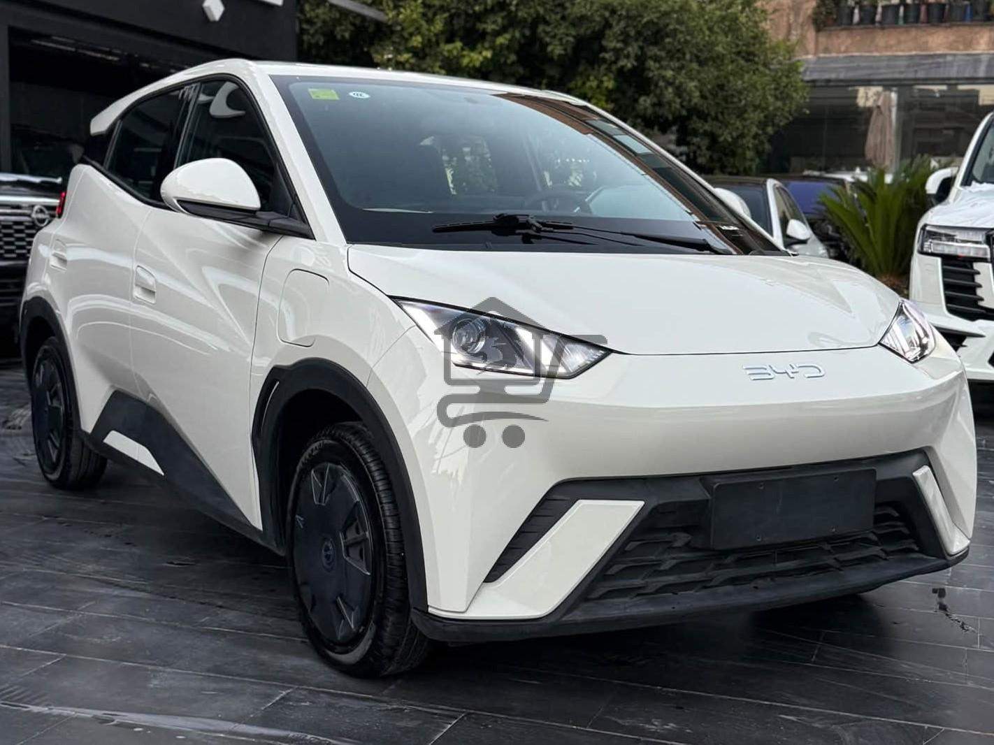 BYD Seagull 2025 - الصورة 1