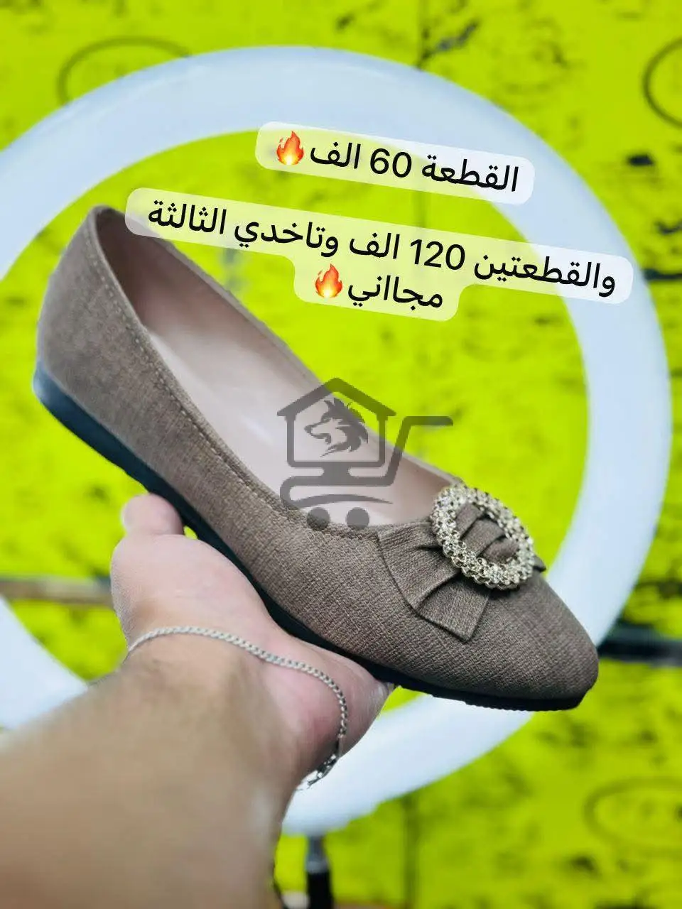 كندرة زحف - الصورة 3