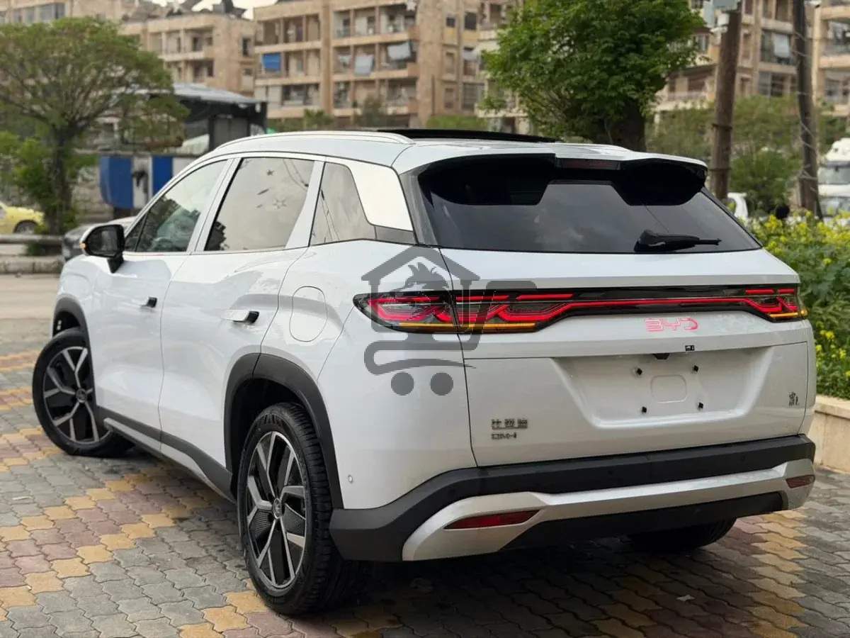 بي واي دابيلو - BYD - الصورة 3