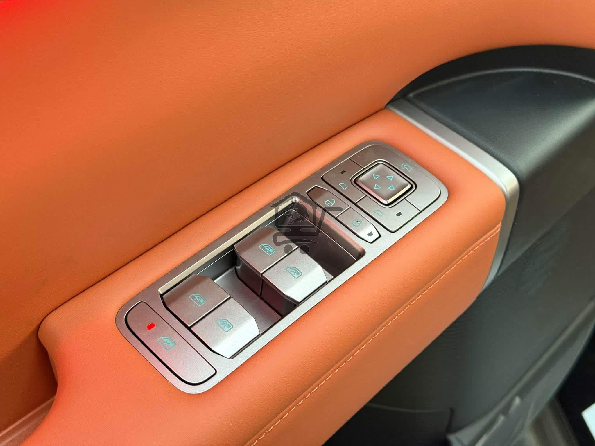 BYD - الصورة 9