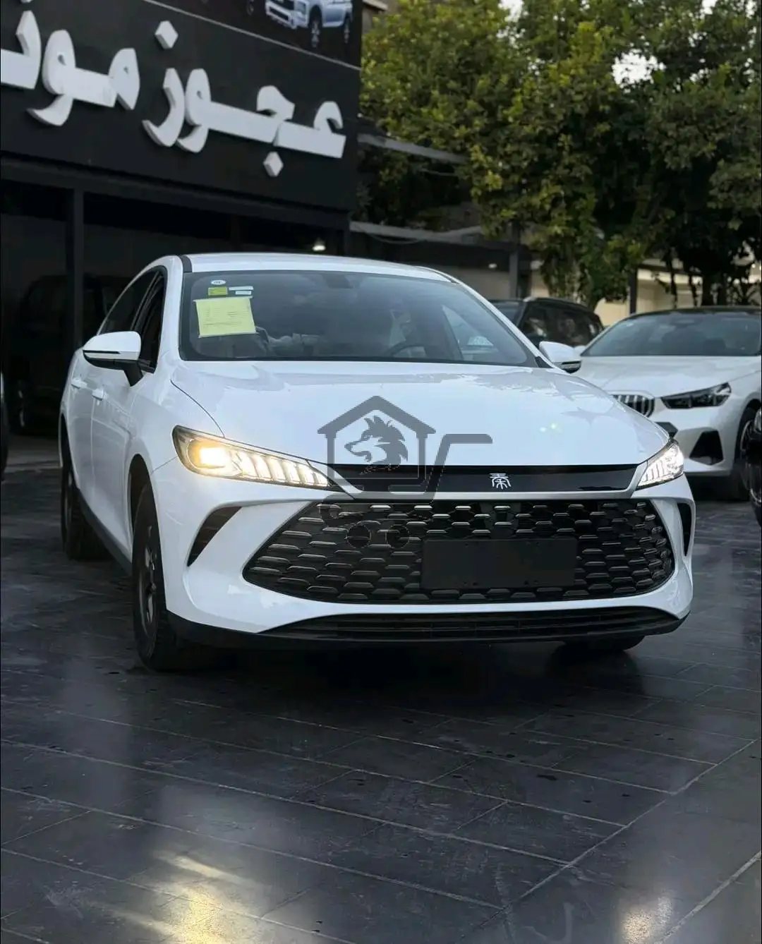 BYD - الصورة 2