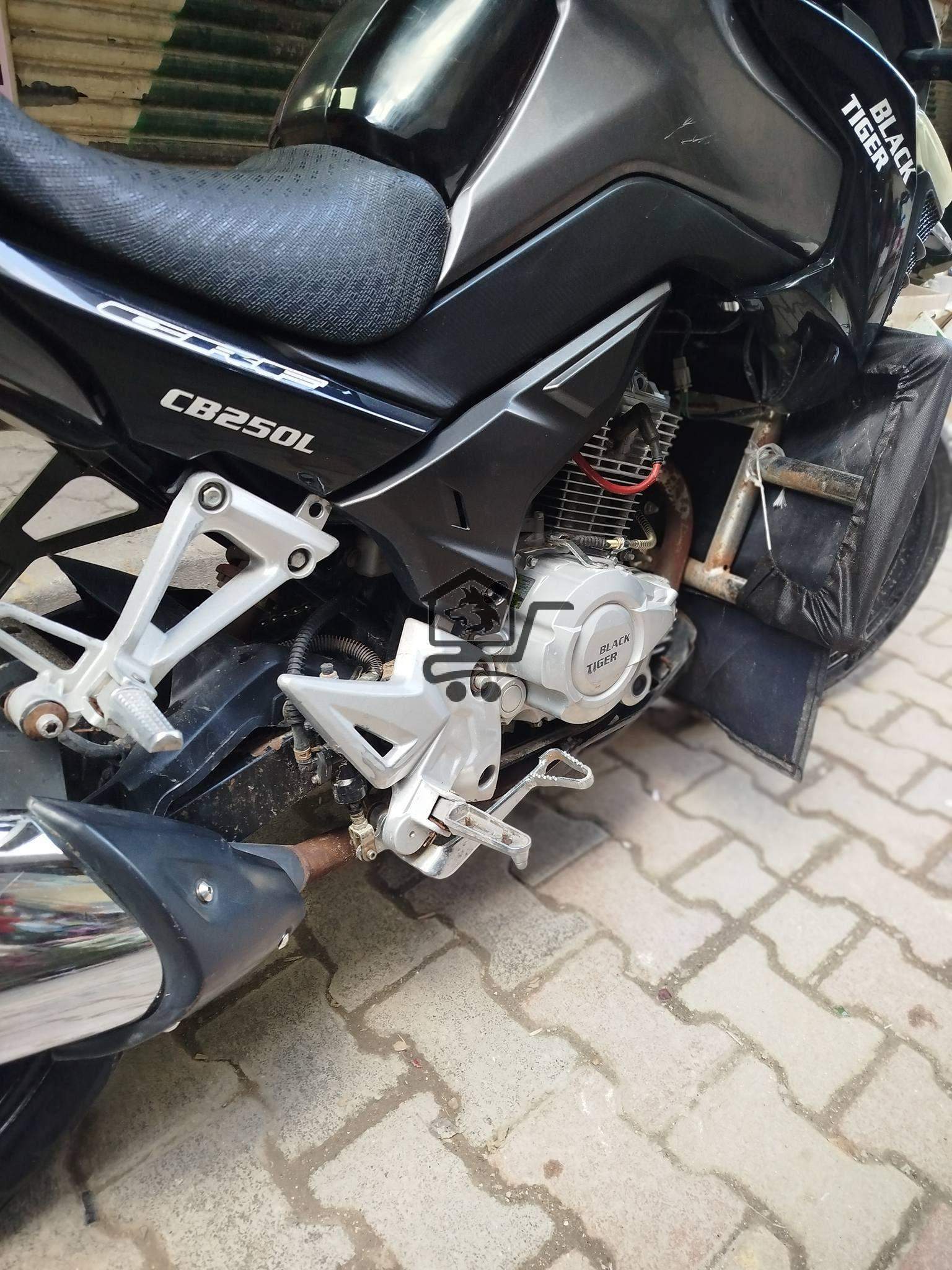 موتور بطح بلاك تايكر موديل 2020 - الصورة 2