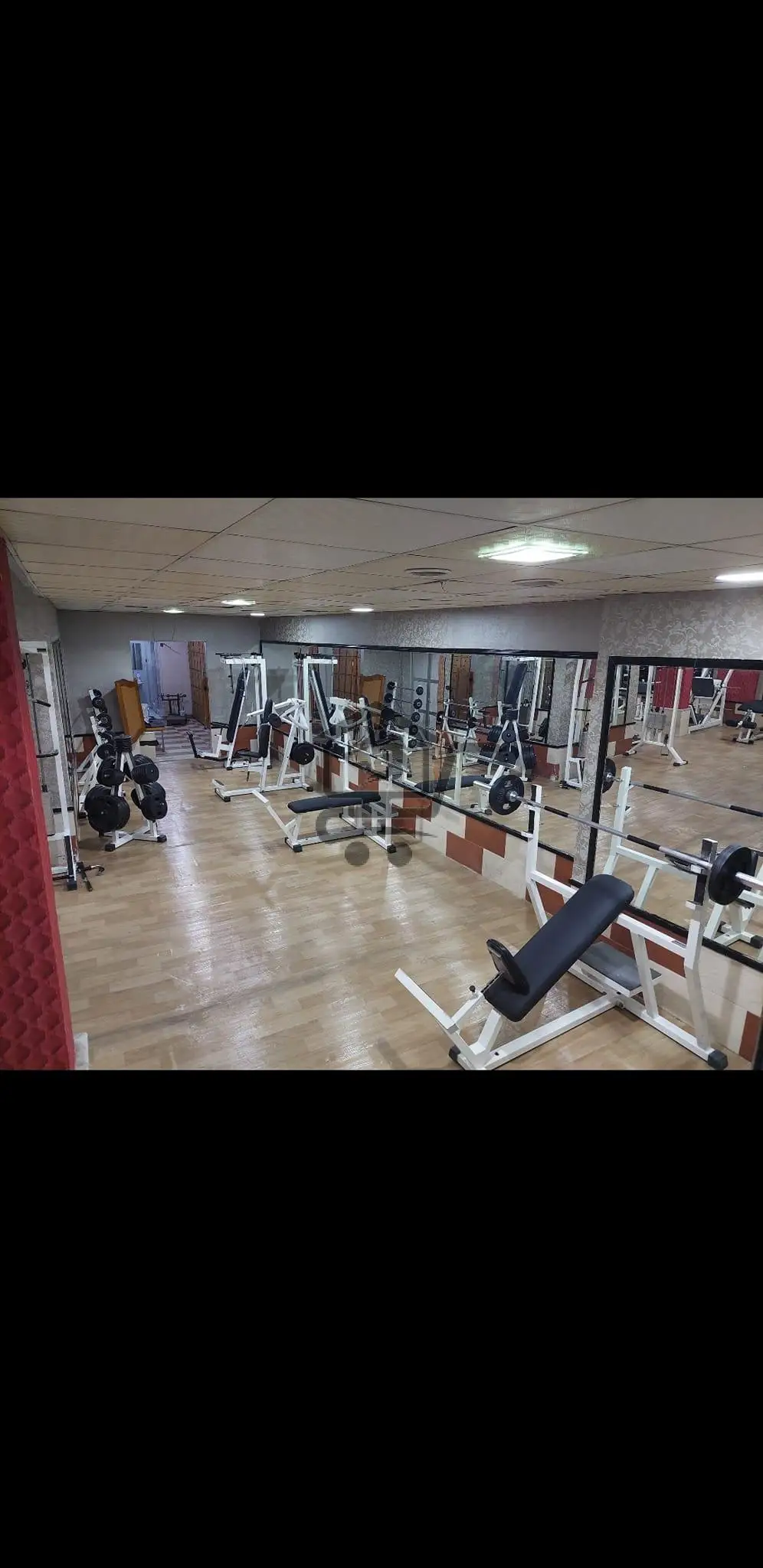 نادي المدينة الرياضي City GYM - الصورة 2