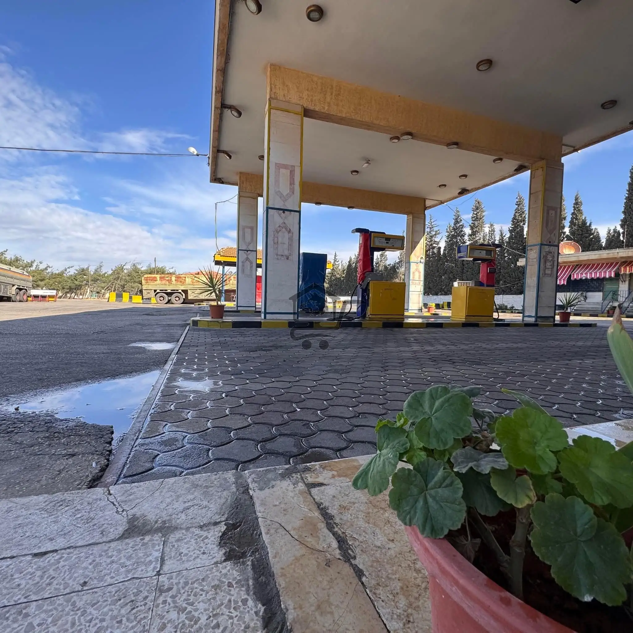 كازية الموسى - الصورة 2