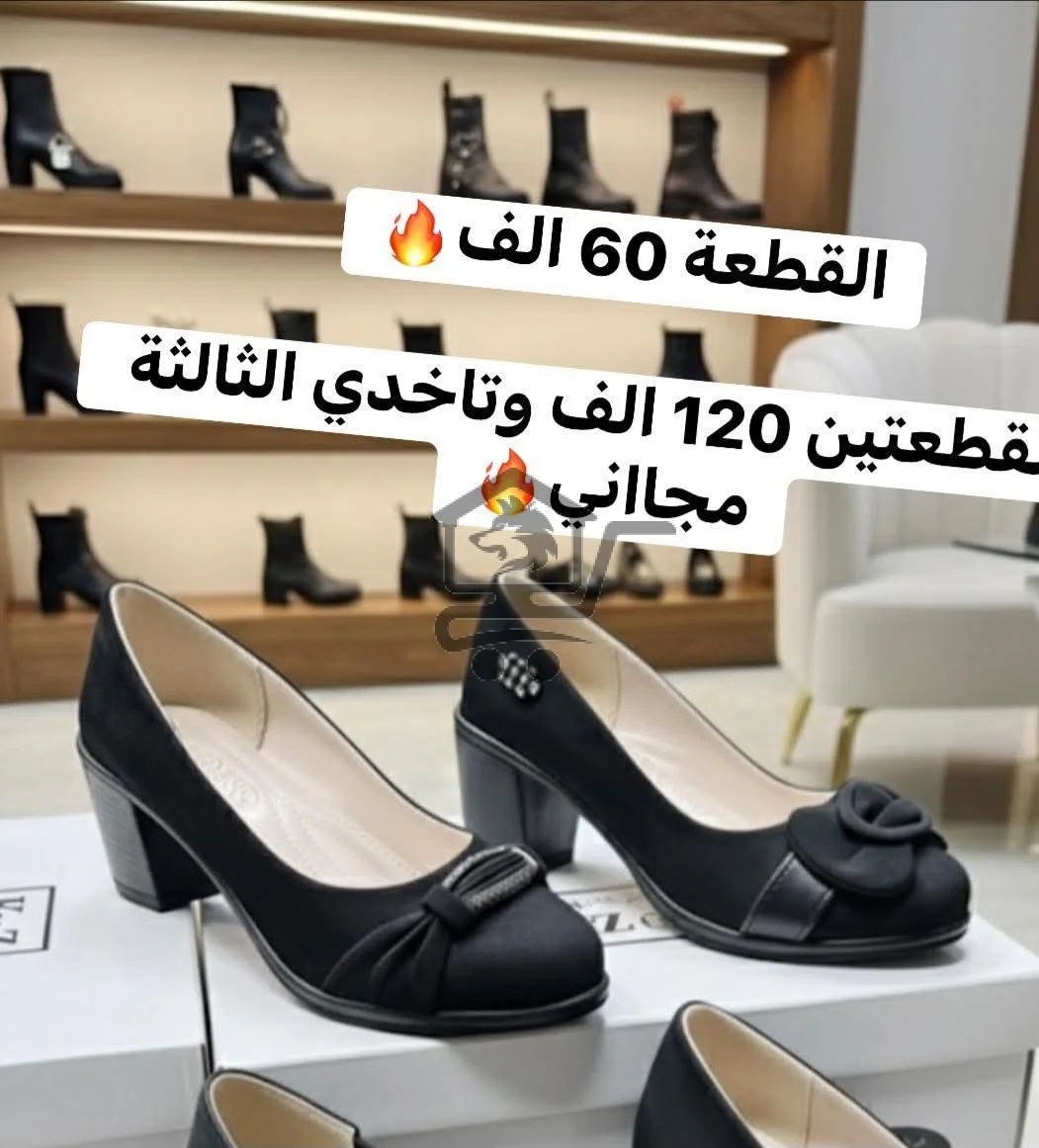 كندرة العرض من الخضر - الصورة 5