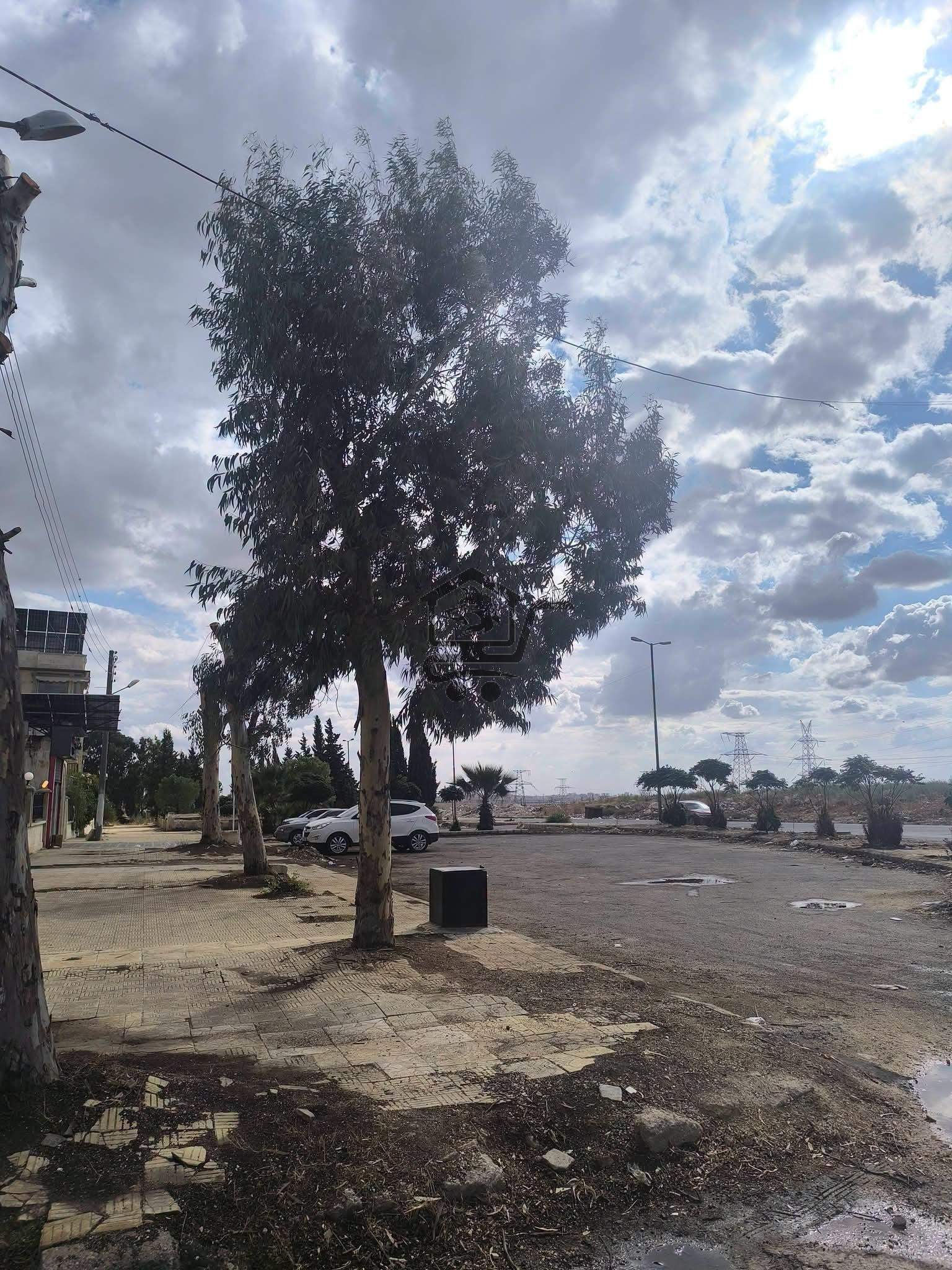 منزل مميز - الصورة 4