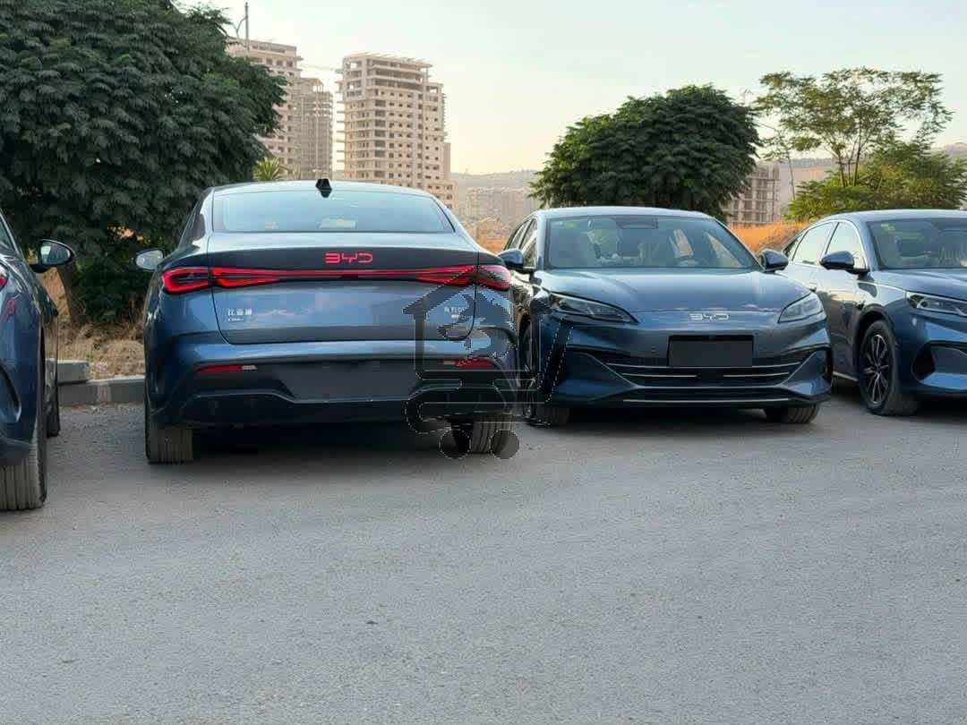 BYD - الصورة 2