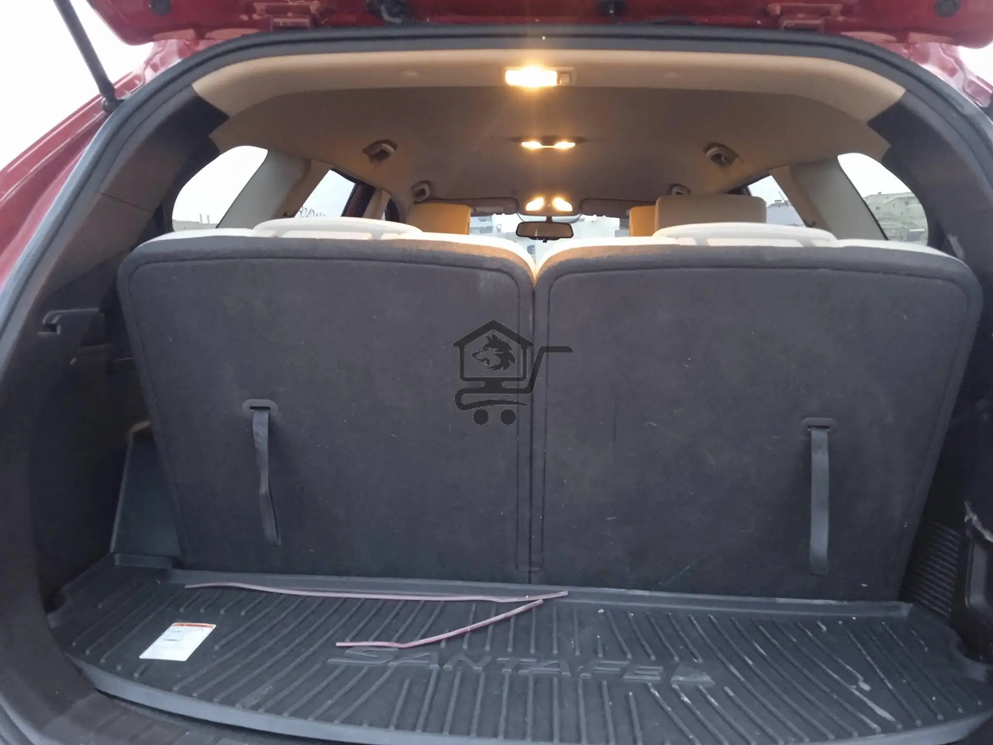 مكس كروز 2014 - الصورة 3